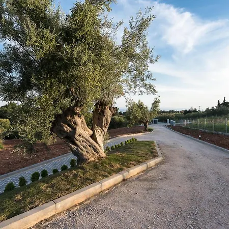 #luxlikehome Theeta Pefko Villa Nikiti (Sithonia)